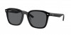 RB4392D Sunglasses