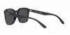 RB4392D Sunglasses
