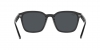 RB4392D Sunglasses