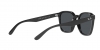 RB4392D Sunglasses