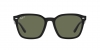 RB4392D Sunglasses