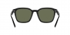 RB4392D Sunglasses