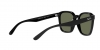 RB4392D Sunglasses