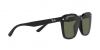 RB4392D Sunglasses