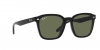 RB4392D Sunglasses