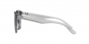 RB4392D Sunglasses