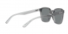 RB4392D Sunglasses