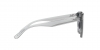 RB4392D Sunglasses