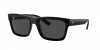 RB4396F Warren Sunglasses