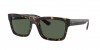 RB4396 Warren Sunglasses