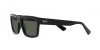 RB4396 Warren Sunglasses