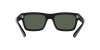 RB4396 Warren Sunglasses