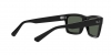 RB4396 Warren Sunglasses