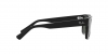 RB4396 Warren Sunglasses