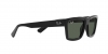 RB4396 Warren Sunglasses