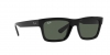 RB4396 Warren Sunglasses