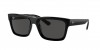 RB4396 Warren Sunglasses