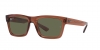 RB4396 Warren Sunglasses