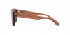 RB4396 Warren Sunglasses