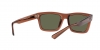 RB4396 Warren Sunglasses