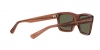 RB4396 Warren Sunglasses