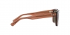 RB4396 Warren Sunglasses
