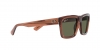 RB4396 Warren Sunglasses