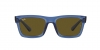 RB4396 Warren Sunglasses