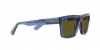 RB4396 Warren Sunglasses