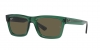 RB4396 Warren Sunglasses