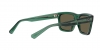 RB4396 Warren Sunglasses
