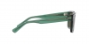 RB4396 Warren Sunglasses