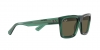 RB4396 Warren Sunglasses