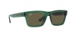 RB4396 Warren Sunglasses