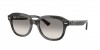 RB4398F Erik Sunglasses