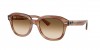 RB4398 Erik Sunglasses