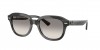 RB4398 Erik Sunglasses