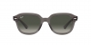 RB4398 Erik Sunglasses