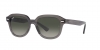 RB4398 Erik Sunglasses