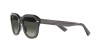 RB4398 Erik Sunglasses