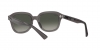 RB4398 Erik Sunglasses
