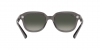 RB4398 Erik Sunglasses