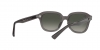 RB4398 Erik Sunglasses