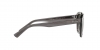 RB4398 Erik Sunglasses
