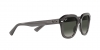 RB4398 Erik Sunglasses