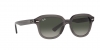 RB4398 Erik Sunglasses