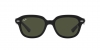 RB4398 Erik Sunglasses