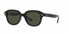 RB4398 Erik Sunglasses