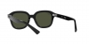 RB4398 Erik Sunglasses
