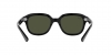 RB4398 Erik Sunglasses